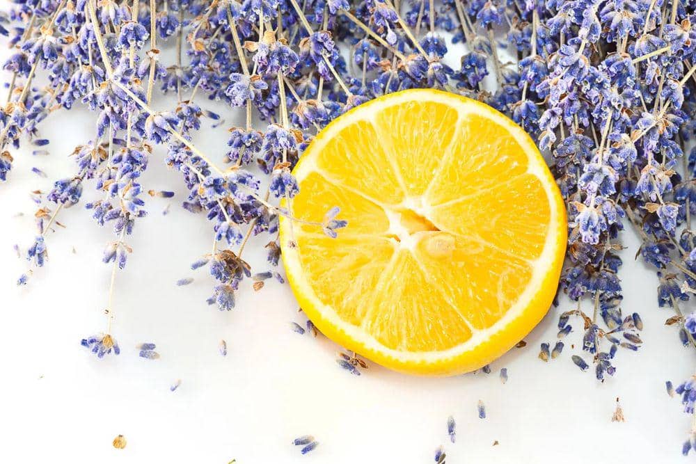 Rekomendasi Wangi Reed Diffuser yang Bikin Tenang dan Rileks