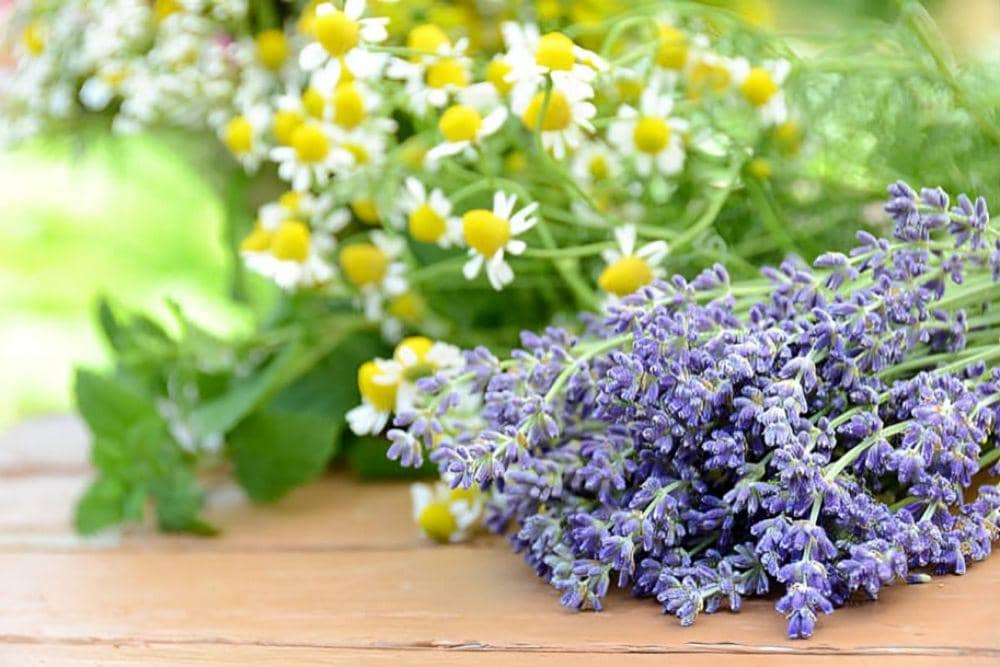 Rekomendasi Wangi Reed Diffuser yang Bikin Tenang dan Rileks