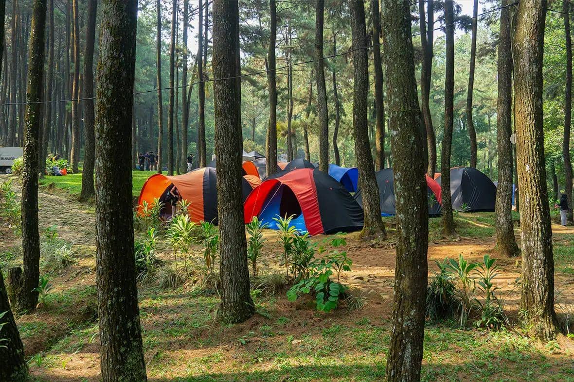 Taman Wisata Alam Gunung Pancar 