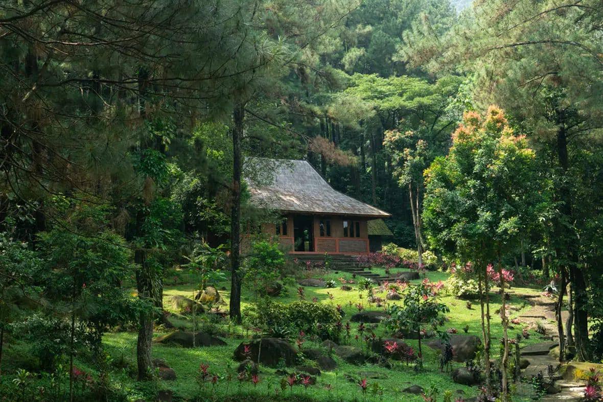 Taman Wisata Alam Gunung Pancar: Lokasi, Harga Tiket, dan Fasilitasnya