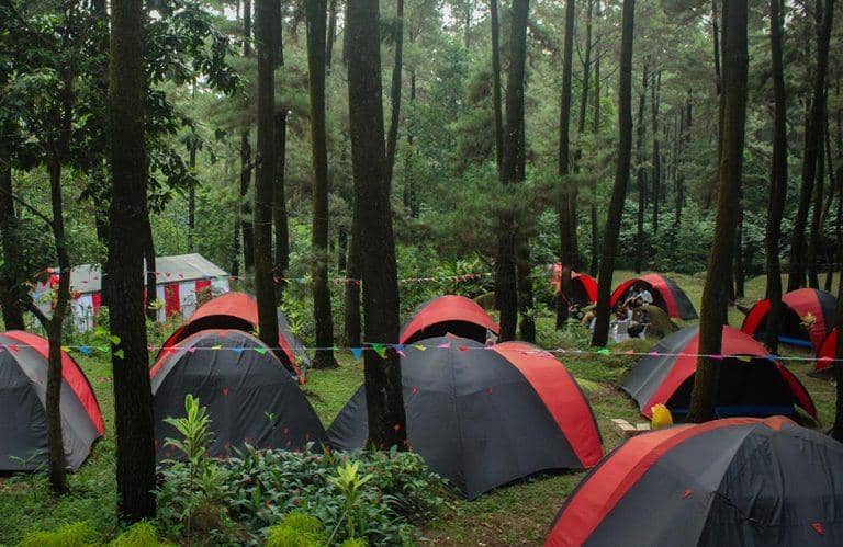 Taman Wisata Alam Gunung Pancar 