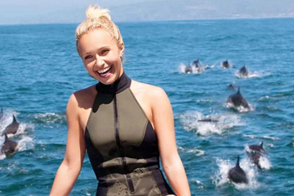 Fakta Hayden Panettiere