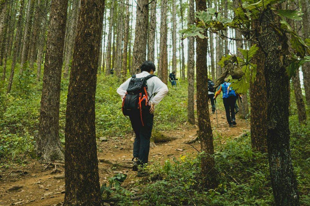 Perlengkapan Trekking yang Wajib Dibawa