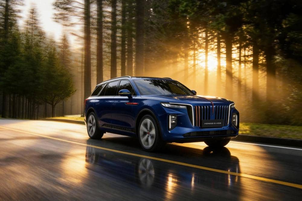 Hongqi E-HS9.jpg