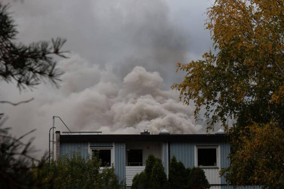 5 Cara Menghilangkan Bau Asap di Dalam Rumah agar Kembali Segar