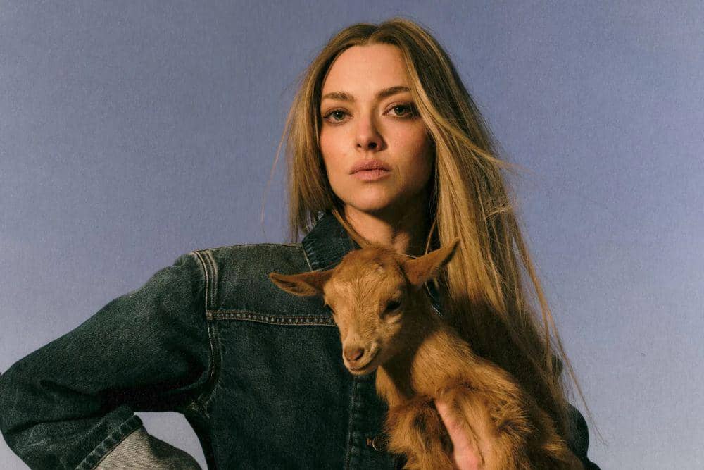 Profil Amanda Seyfried