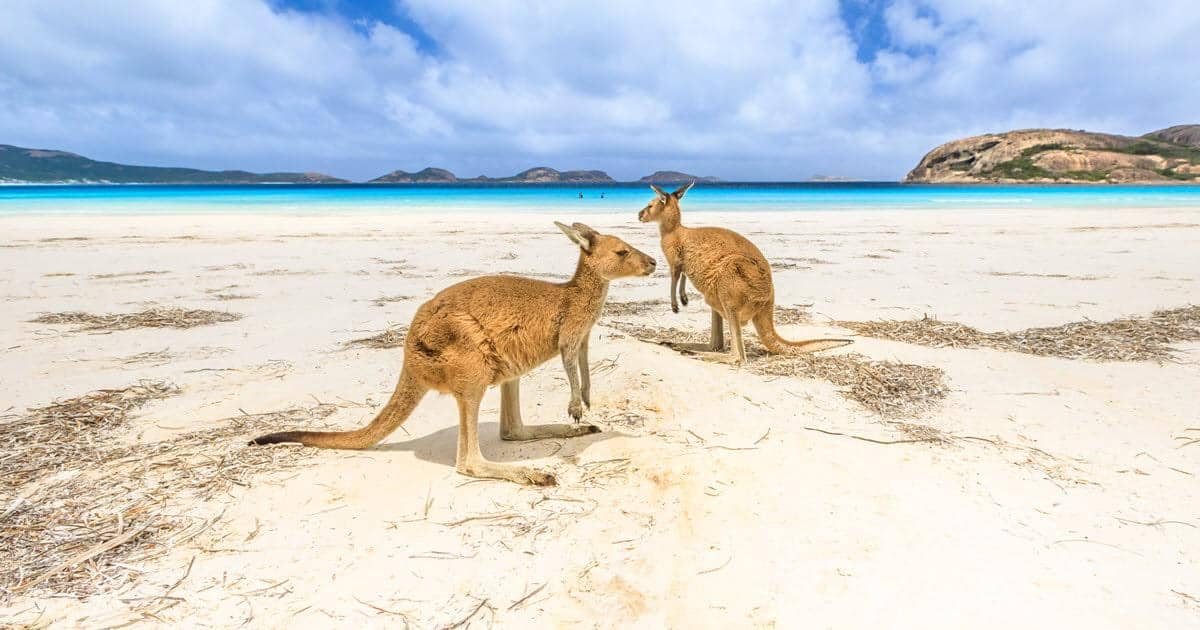 Lucky Bay, Esperance.jpg