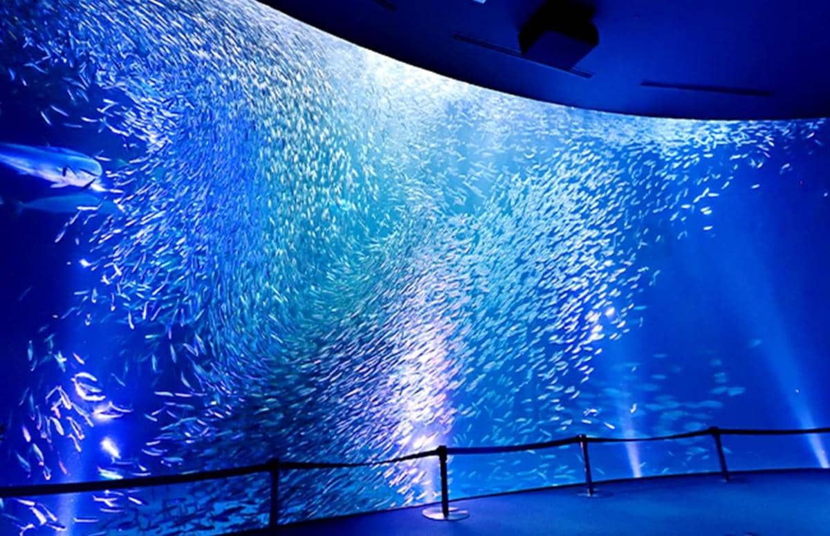 tempat wisata di Nagoya