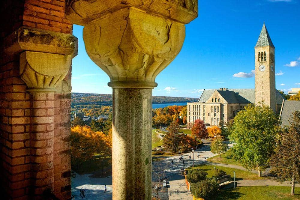 Cornell University