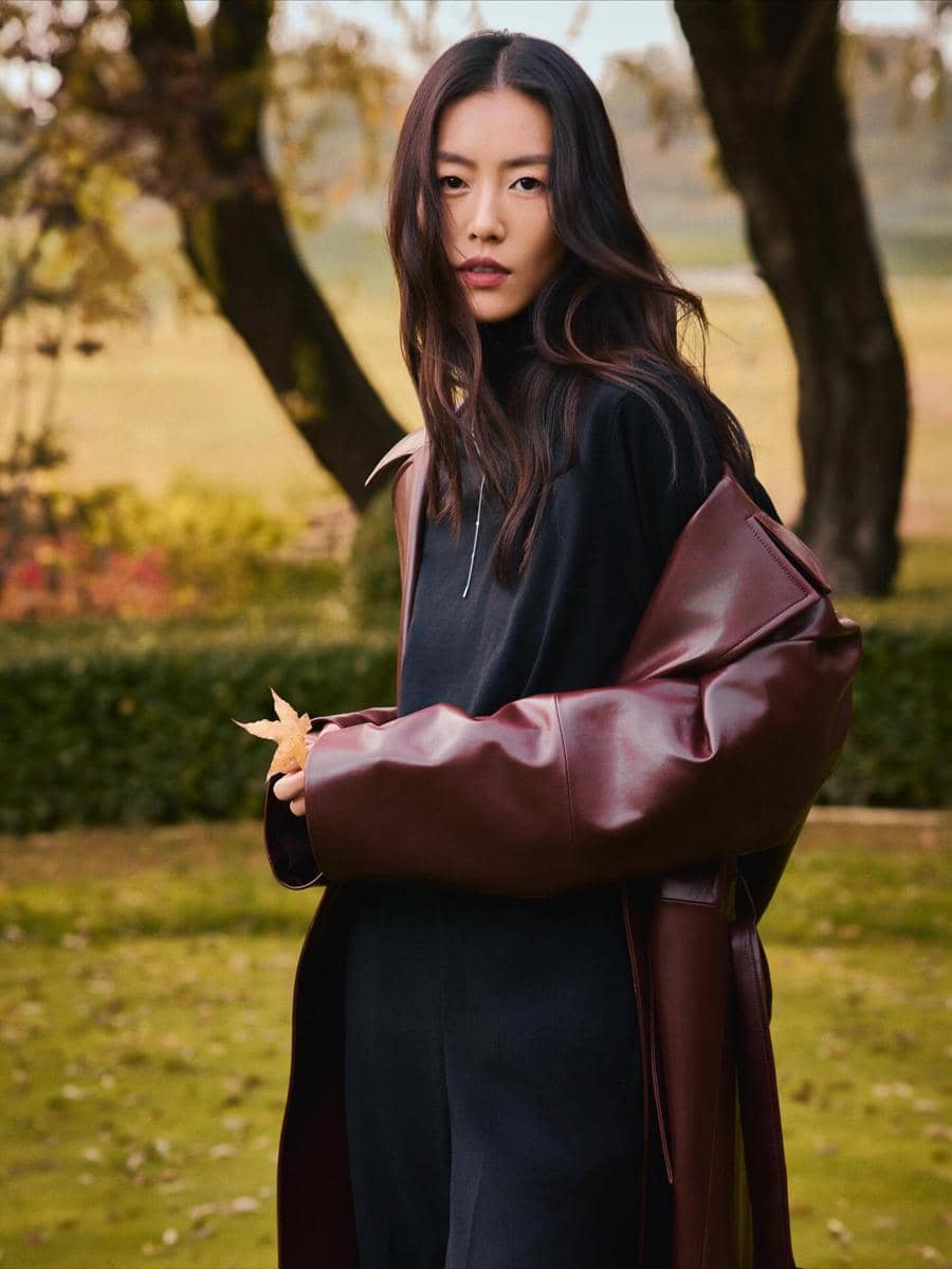 Liu Wen