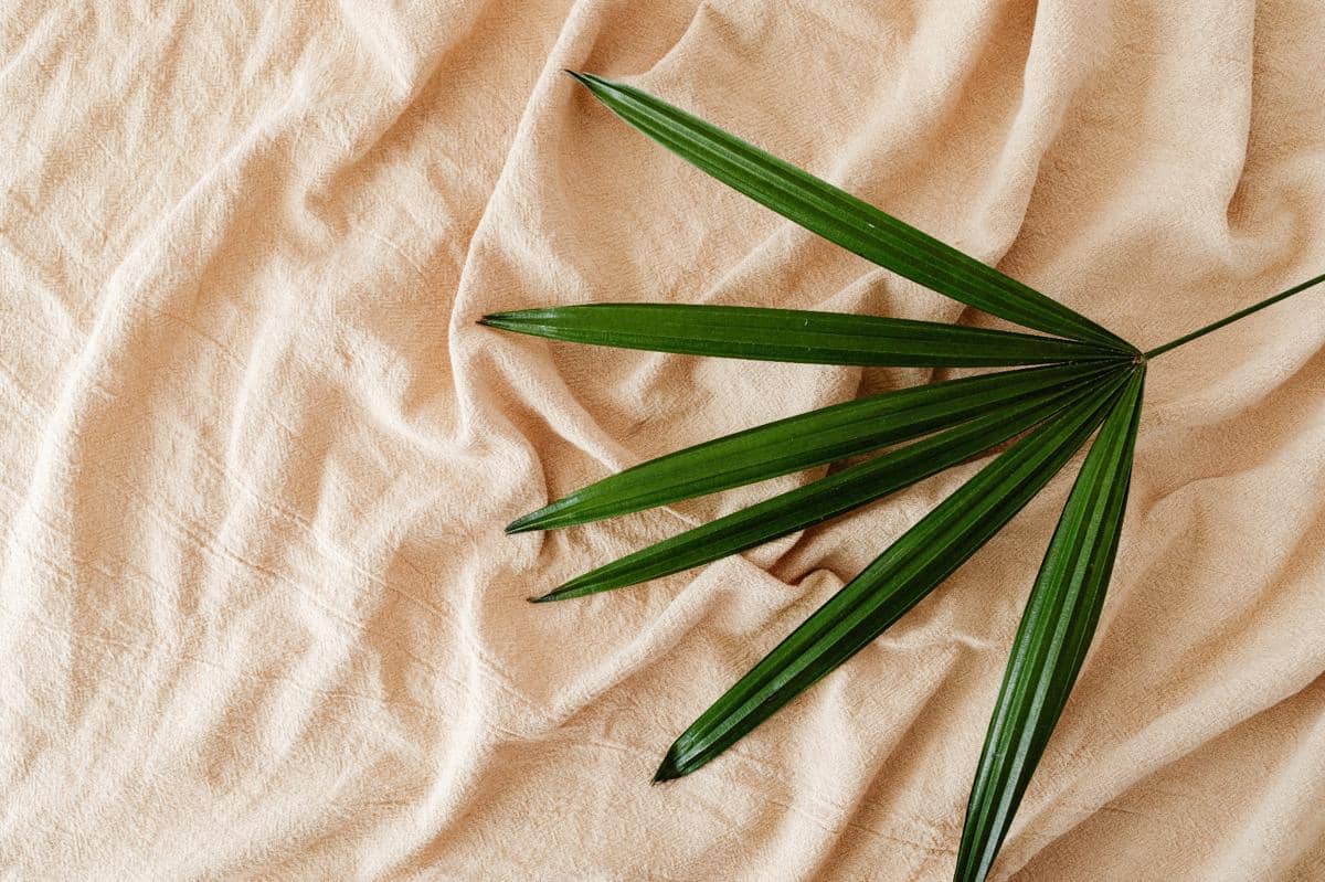 Bamboo Fabric, Kain Bambu