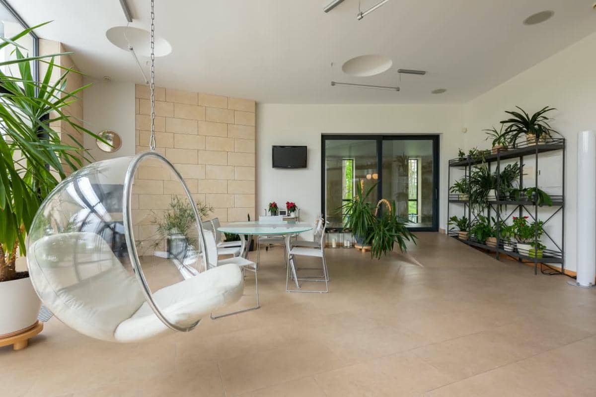 7 Tanaman Indoor Pembersih Udara, Dracaena sampai Peace Lily