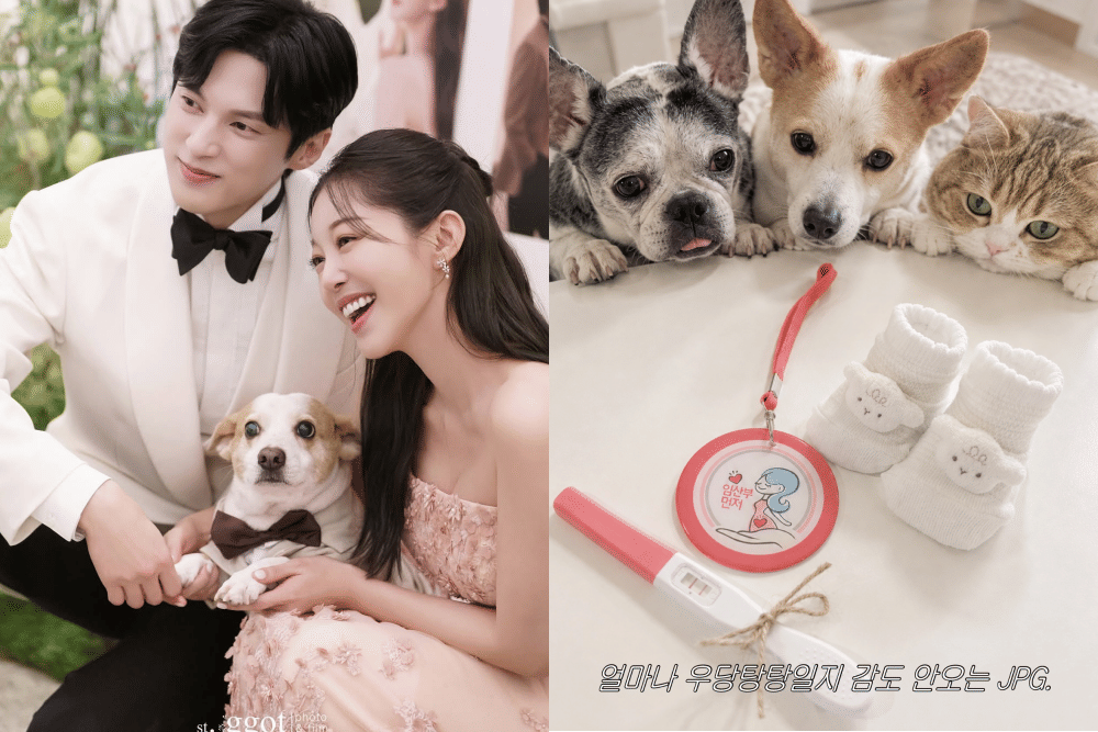 Kim Ga Eun dan Yoon Sun Woo